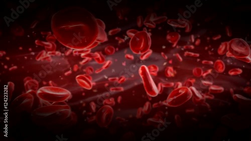 Metabolism or transformation, change substances in the body's.