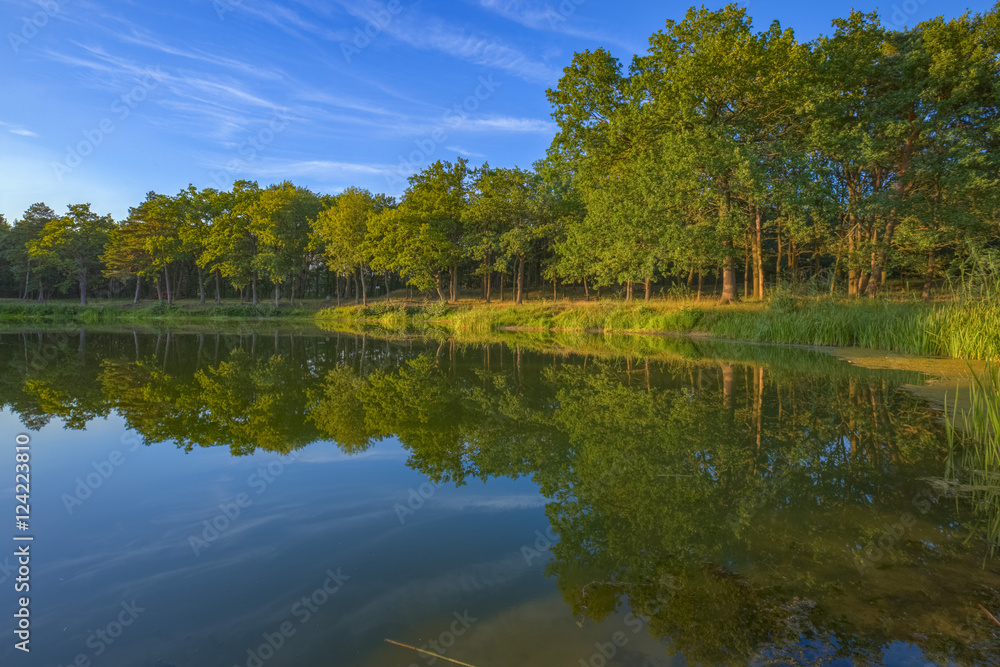 See bei Rüterberg / See bei Rüterberg (Ortsteil von Dömitz, Mecklenburg-Vorpommern). Aufgenommen am 15. August 2016. See bei Rüterberg / See bei Rüterberg (Ortsteil von Dömitz, Mecklenburg-Vorpommern). Aufgenommen am 15. August 2016.