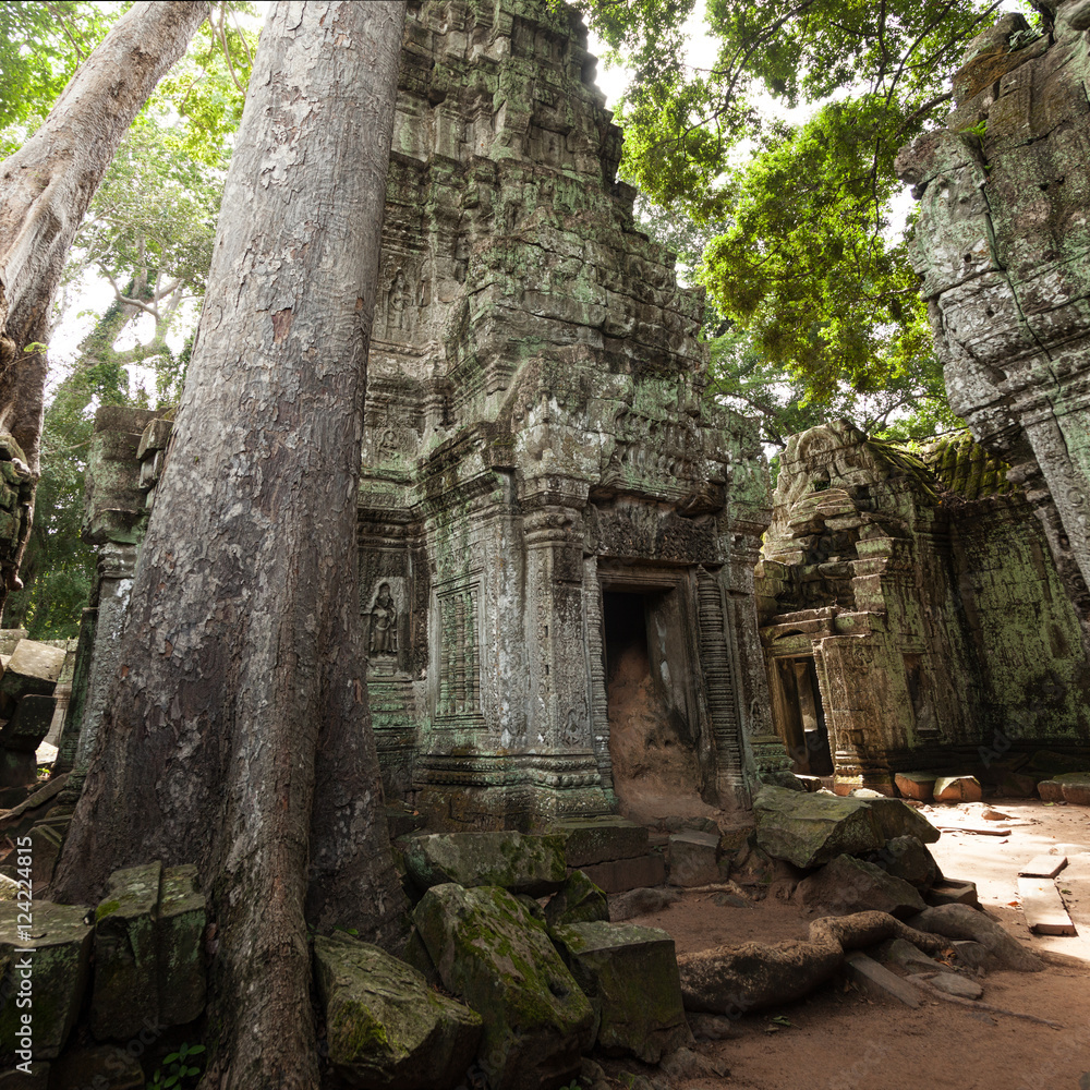 Ta Prohm temple Ta Prohm temple