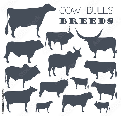 Cattle breeding. Cow, bulls breed icon set. Flat design