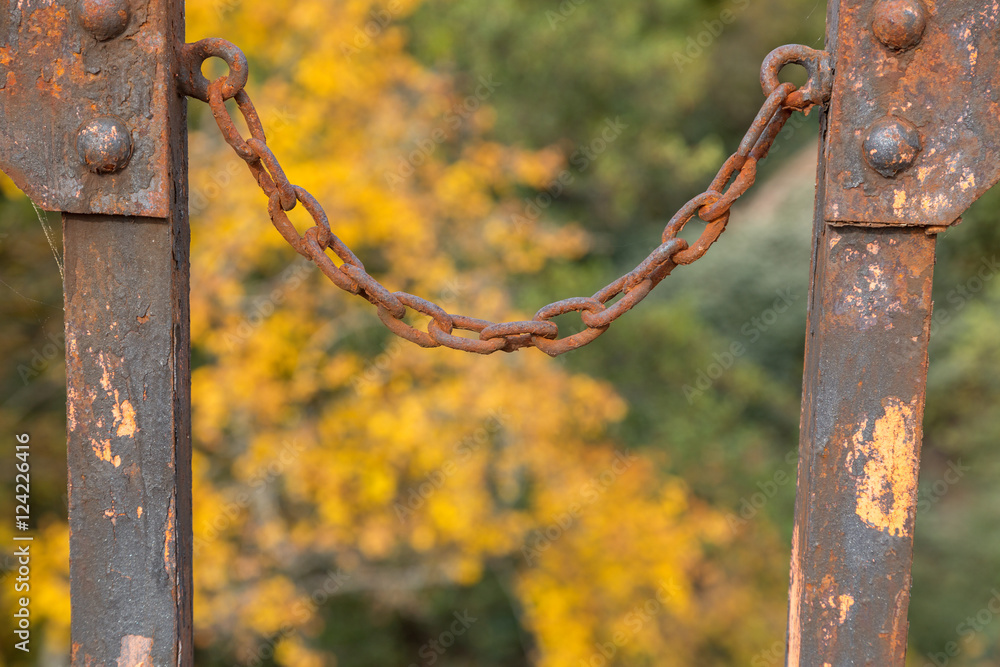 Metal fencing. rusty fence on a background of trees Metal fencing. rusty fence on a background of trees
