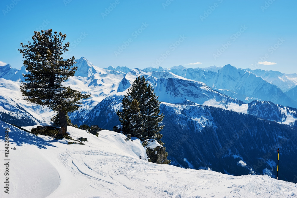 Winter ski reasort