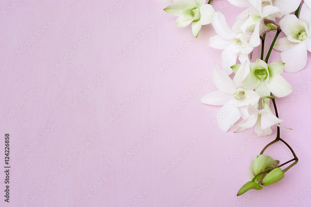 Postcard with white orchids on the pink wooden background. Greeting card template. Holiday mock-up.