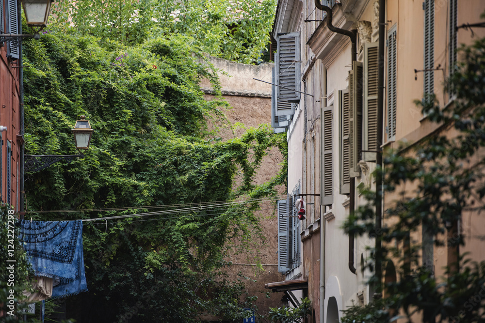 Vegetation and architecture in Trastevere, Rome. Vegetation and architecture in Trastevere, Rome.