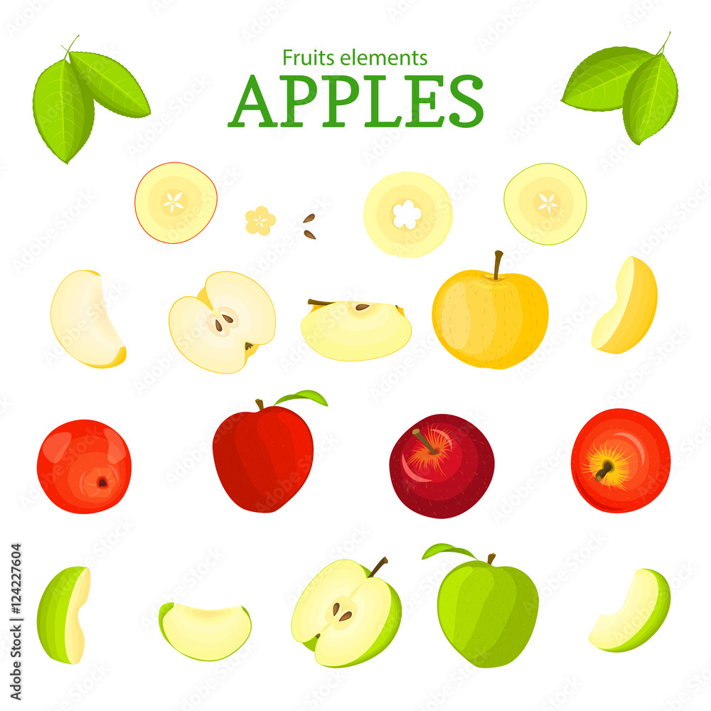 Vector set of fruits. Apple fruit, whole, peeled, piece of half, slice, leaves, seed. Collection of delicious apples designer elements for use in packaging design projects flyer healthy eating Vector set of fruits. Apple fruit, whole, peeled, piece of half, slice, leaves, seed. Collection of delicious apples designer elements for use in packaging design projects flyer healthy eating