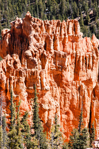 Red hoodoos, Rainbow Point, Bryce Canyon