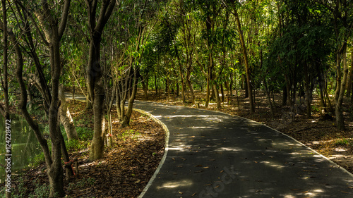 Fototapeta Naklejka Na Ścianę i Meble -  Light and shadow on small road for activities in Sri Nakhon  Khuean Khan Park And Botanical Garden is public park and declared to be the lungs of Bangkok in Bang Kachao Sub-District, Thailand