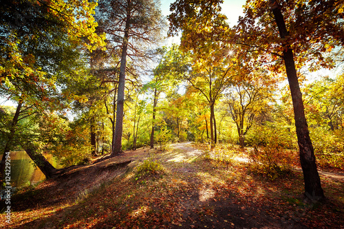 Sunny day in outdoor park with colorful autumn trees. Amazing bright colors of nature landscape © PerfectLazybones