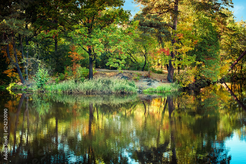 Sunny day in outdoor park with lake and colorful autumn trees reflection under blue sky. Amazing bright colors of autumn nature landscape