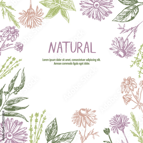 Template with hand drawn flowers and plants