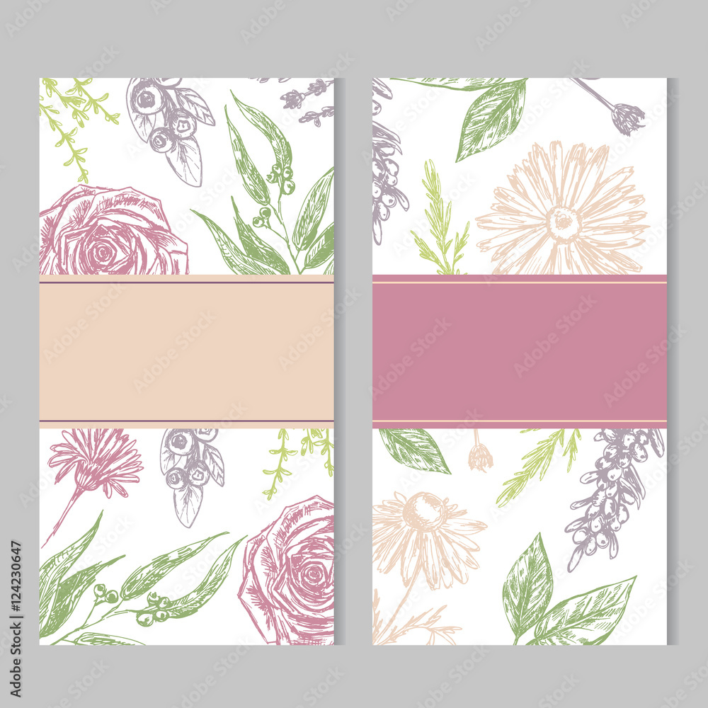 Set of cards with hand drawn flowers and plants
