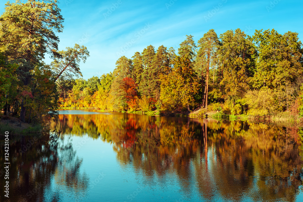 Sunny day in outdoor park with lake and colorful autumn trees reflection under blue sky. Amazing bright colors of autumn nature landscape Sunny day in outdoor park with lake and colorful autumn trees reflection under blue sky. Amazing bright colors of autumn nature landscape