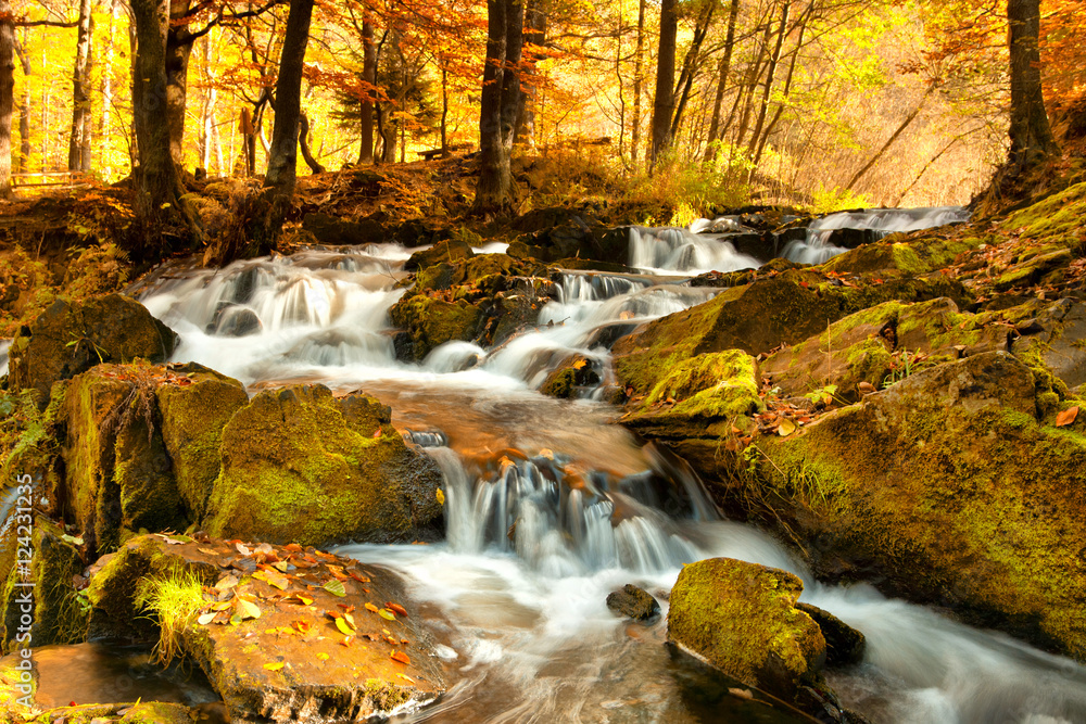 Wasserfall im Herbst, Naturlandschaft im Harz Wasserfall im Herbst, Naturlandschaft im Harz
