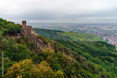 Majestic medieval castle Girsberg ruins on the top of the hill