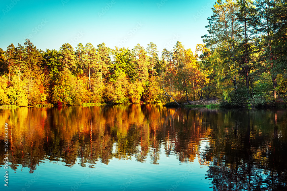 Obraz premium Sunny day in outdoor park with lake and colorful autumn trees reflection under blue sky. Amazing bright colors of autumn nature landscape