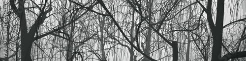 Dunkle Bäume im Nebel