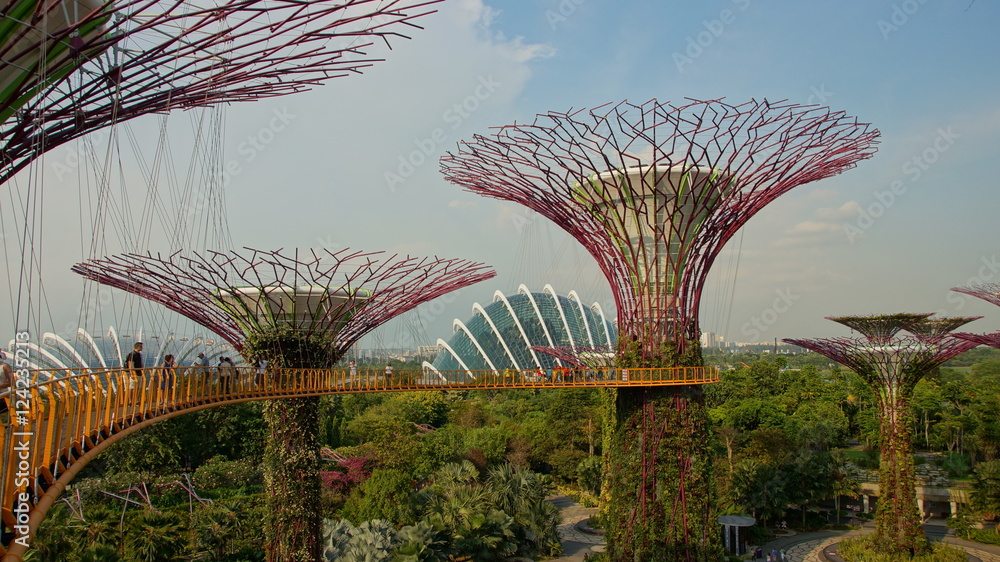 Fototapeta premium Baumskulpturen in Gardens at Marina in Singapur