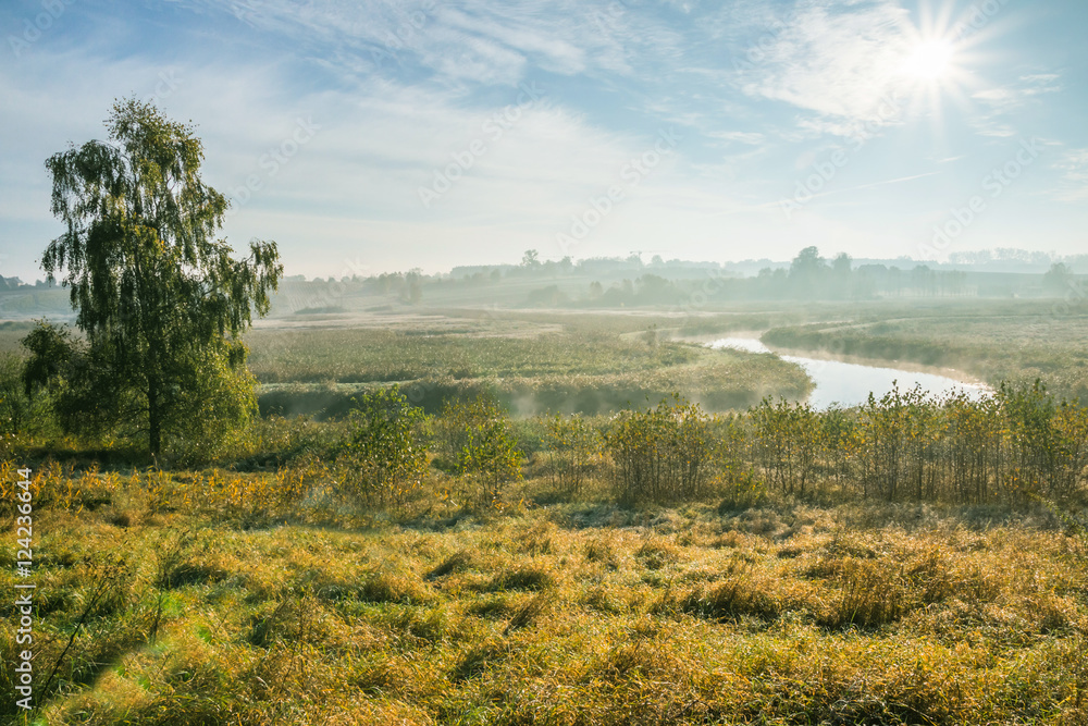 Autumn landscape in the morning sun.
