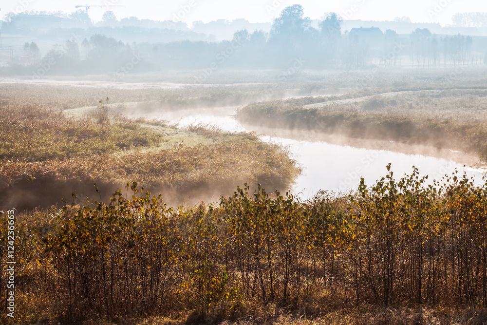 Autumn landscape in the morning sun.
Autumn landscape in the morning sun.