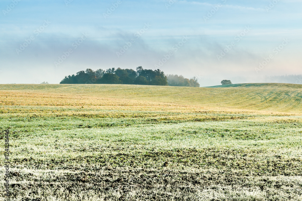 The first frost in the fields. Misty autumn morning.
The first frost in the fields. Misty autumn morning.