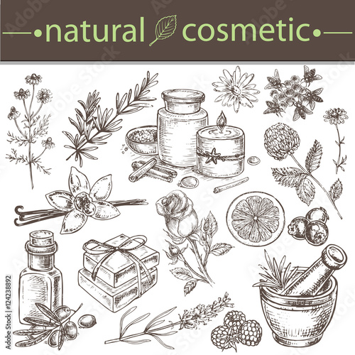 natural cosmetics hand drawn collection