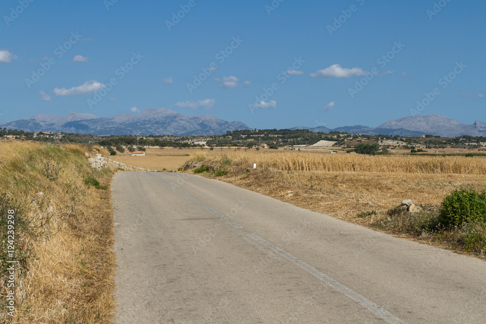 Landsväg genom åkermark med berg i bakgrunden