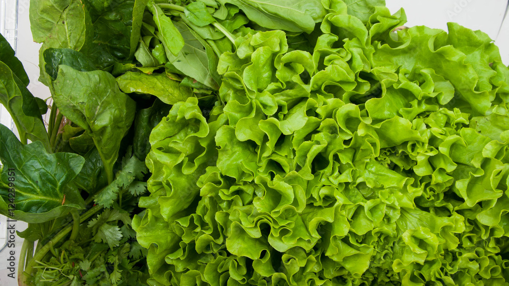 Greenery in the fridge Greenery in the fridge