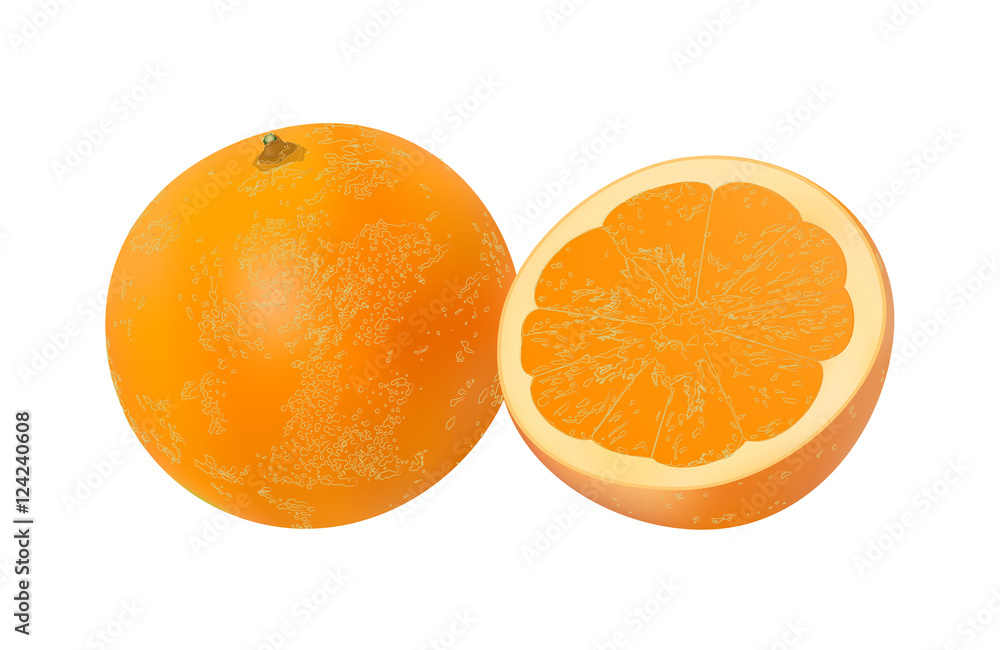 Orange fruit isolated on white background Stock Vector | Adobe Stock