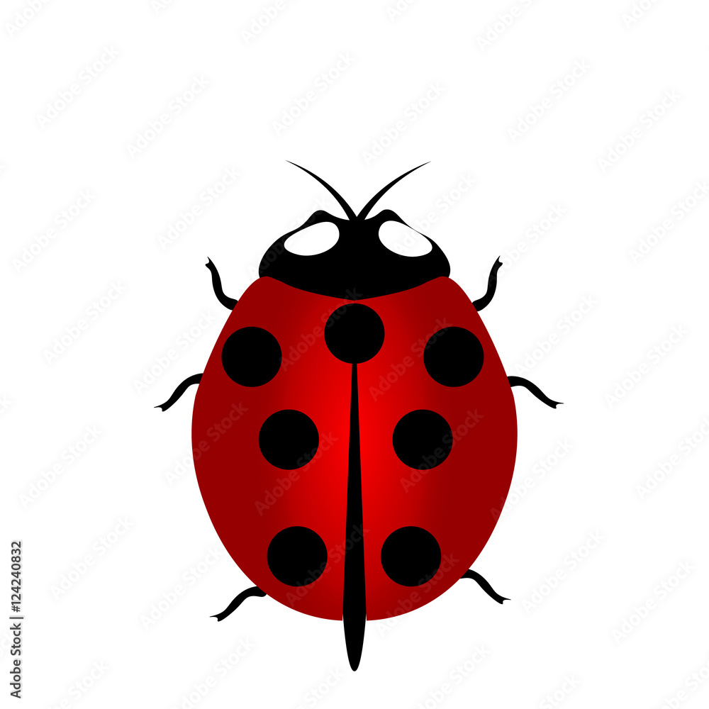 ladybird icon, Red Ladybug ladybird icon, Red Ladybug