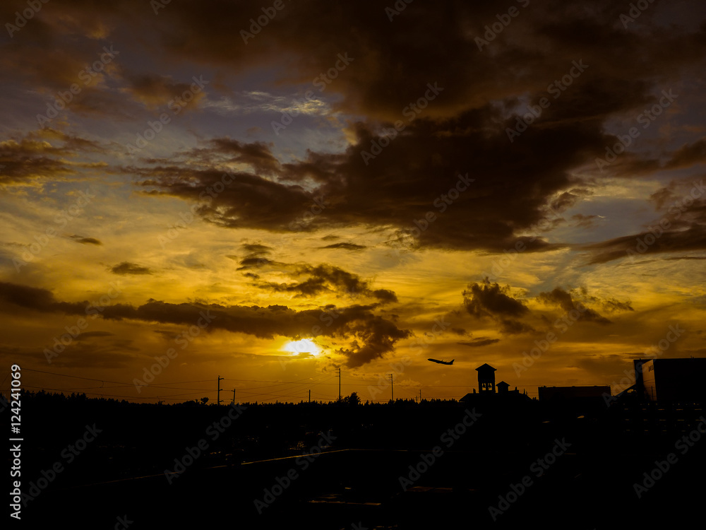 Obraz premium OLYMPUS DIGITAL CAMERA