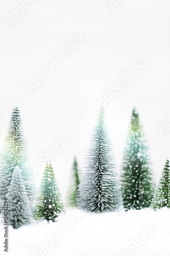 Snowy Winter Forest - Christmas Card © epiximages