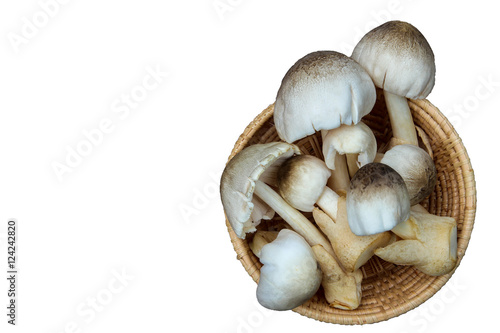 Straw Mushroom in basket on white background.