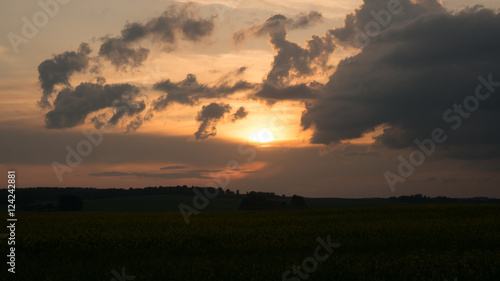 Sunset countryside landscape with blooming rape