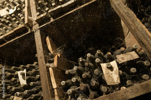 a lot of old wine bottles in the web in the wine cellar on the shelves