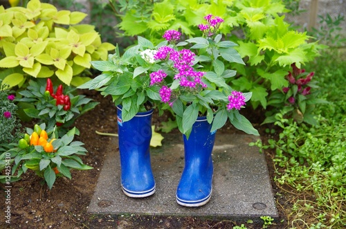 長靴の植木鉢の花