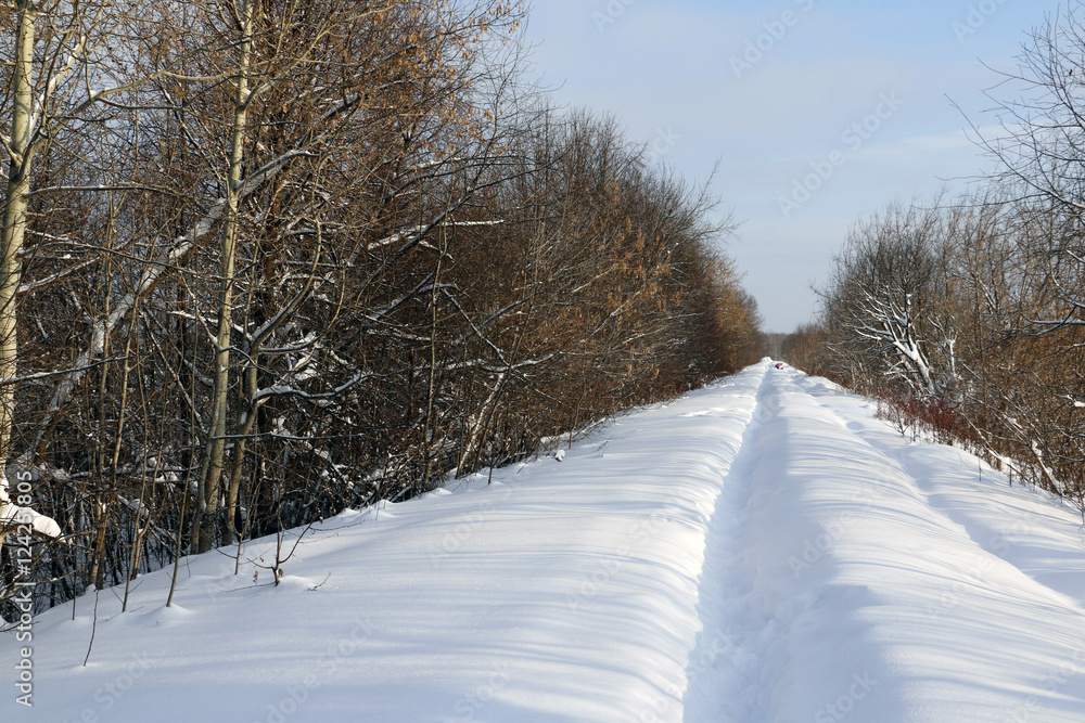 Fototapeta premium Path in the snow in a cold winter day