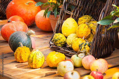 Autumn harvest background with small decorative pumpkins on the table