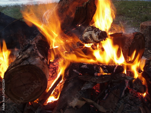 flaming log fire