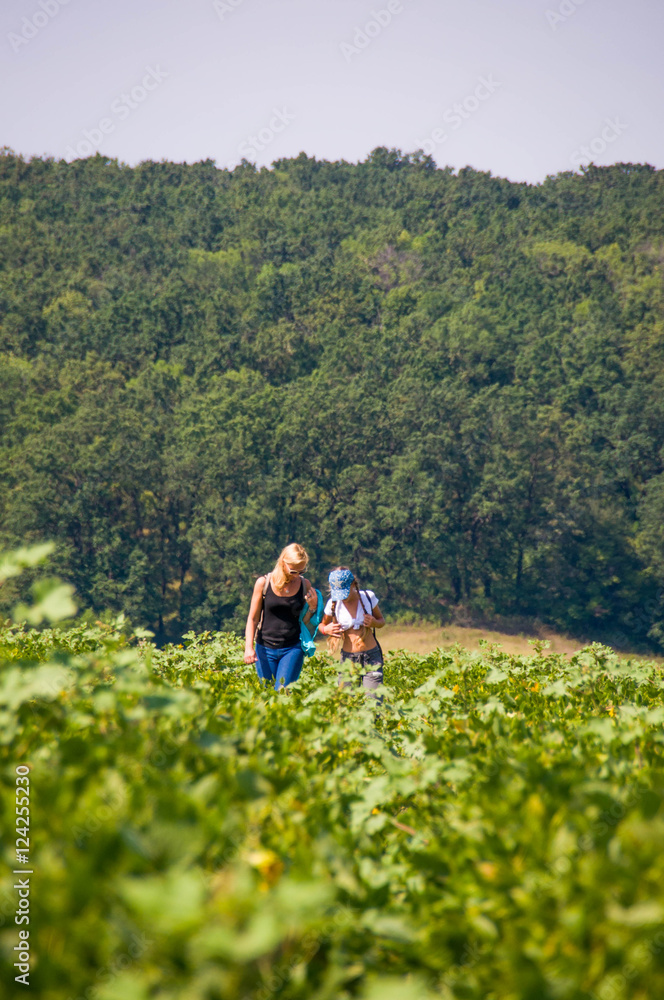 Tourists in the lush greenery of the day