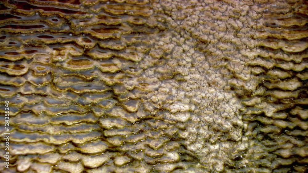 Water flowing over calcium carbonate deposits in Mammoth Hot Springs Water flowing over calcium carbonate deposits in Mammoth Hot Springs