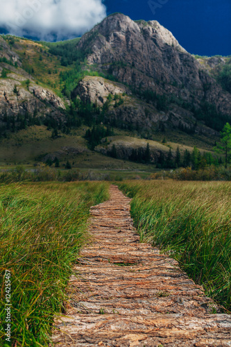 Fototapeta Naklejka Na Ścianę i Meble -  Wooden path through the peat bog.