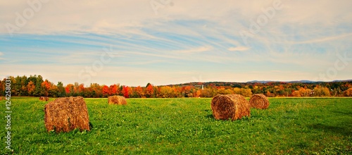 Autumn Hay Harvest