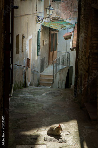 Gavorrano, Grosseto - Italy © robertonencini