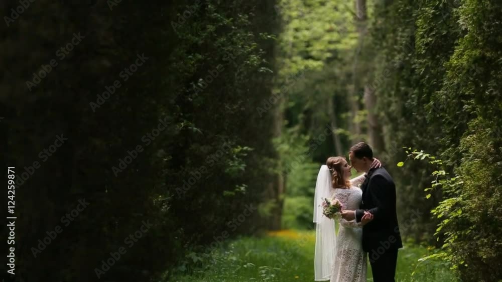 bride and groom are among fir trees bride and groom are among fir trees