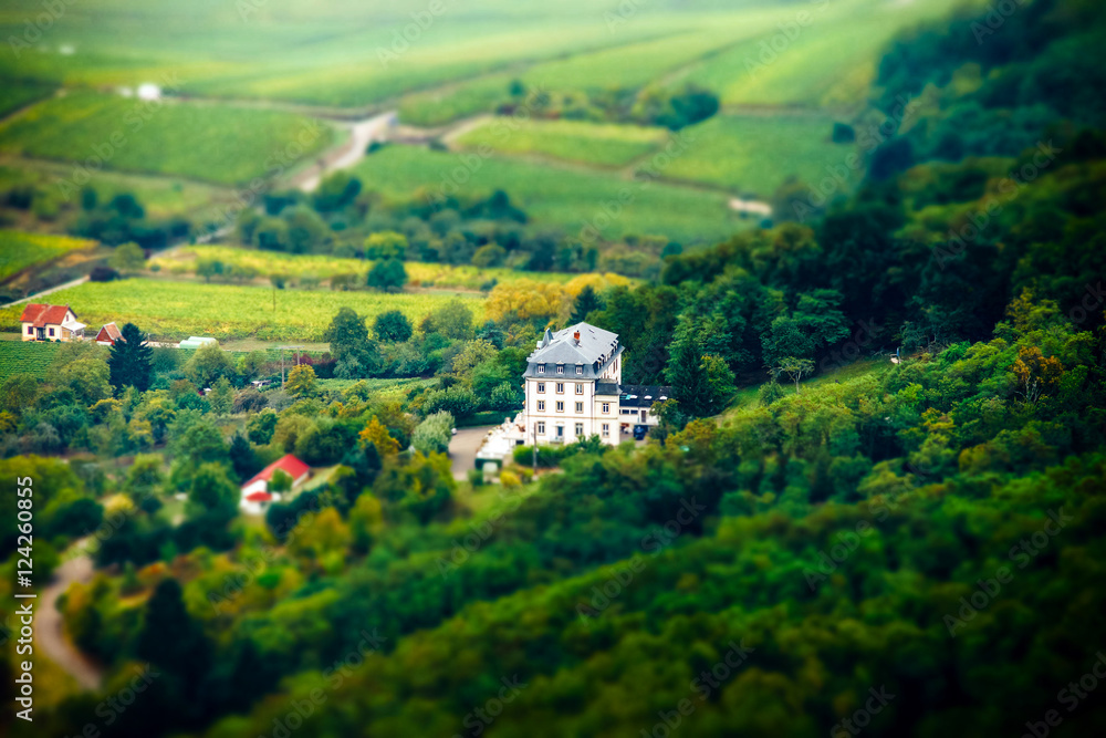 Aerial panoramic tilt-shift view to village Ribeauville from dro