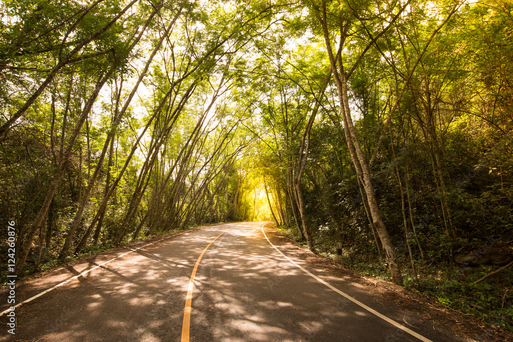 Curve road and rubber tree tunnel
Country asphalt road with sunrise at the end of the tunnel Curve road and rubber tree tunnel
Country asphalt road with sunrise at the end of the tunnel
