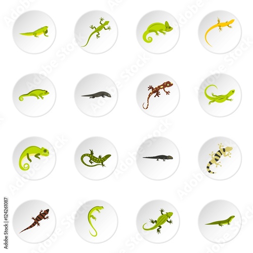 Amphibian icons set. Flat illustration of 16 amphibian vector icons for web