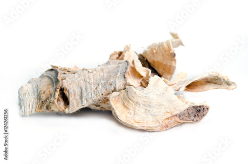 Butea superba Roxb or red Kwao Krua tuber root isolated on white © suradech_k