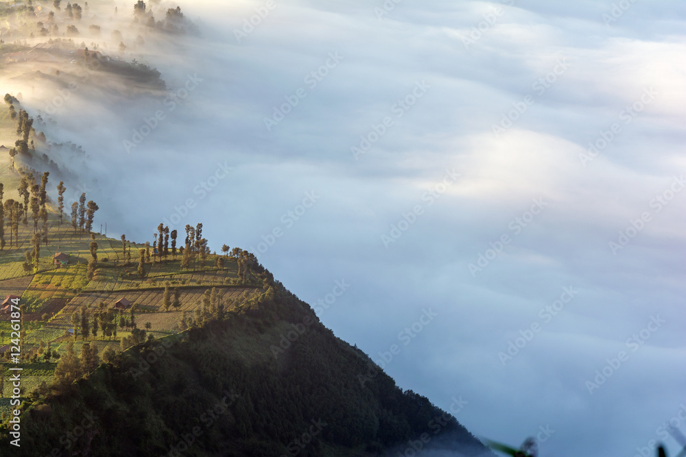 A layer of fog or mist covering the village of Cemoro Lawang in the morning at Bromo-Tengger-Semeru National Park, East Java, Indonesia