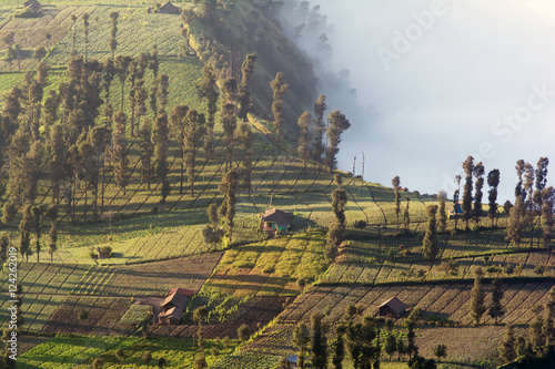 Morning view of Cemoro Lawang village at Bromo-Tengger-Semeru National Park, Indonesia photo